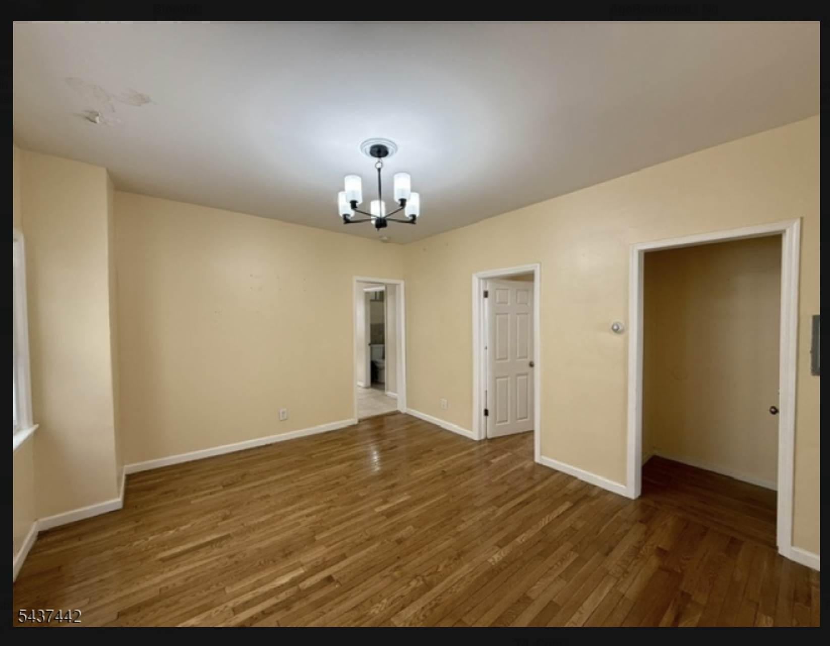 305-307 Sanford Ave  - 2